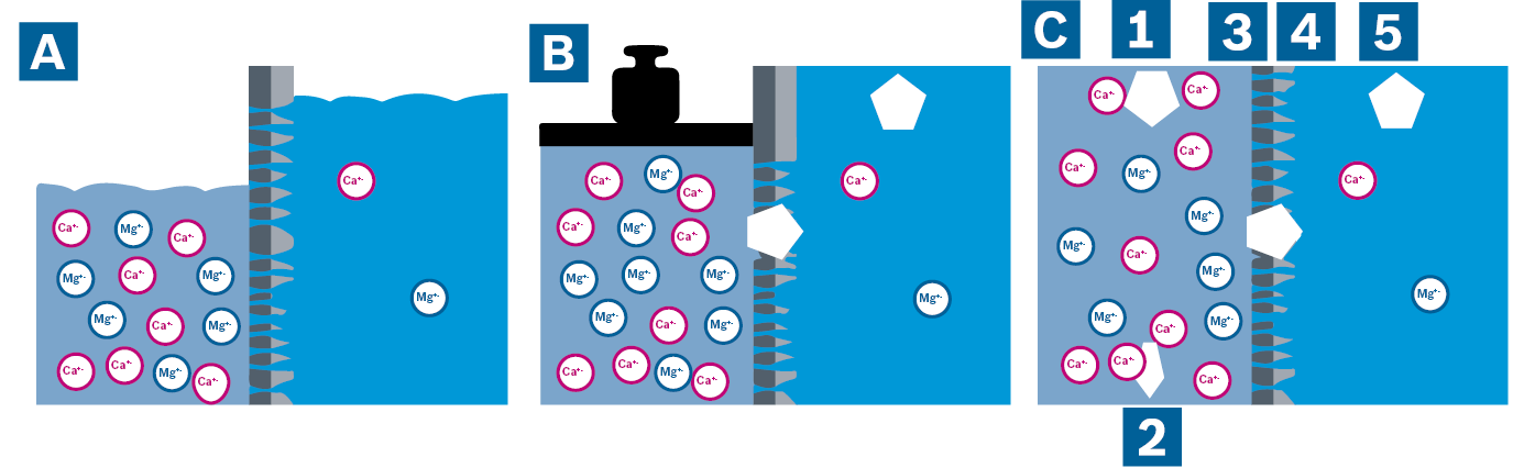 Znázornění osmotického tlaku (A) reverzní osmózy tlakovým zatížením na straně kondenzátu (B) a procesu kontinuální reverzní
osmózy (C)